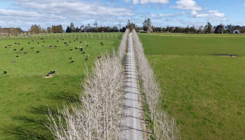  Waiare Road, Kerikeri