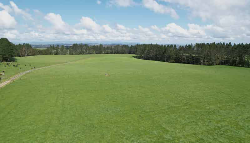00 Waiare Road, Kerikeri