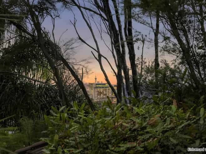 165B Glengarry Road, Glen Eden