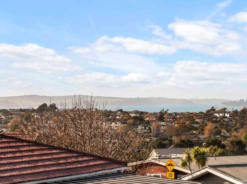 68 Bradbury Road, Botany Downs