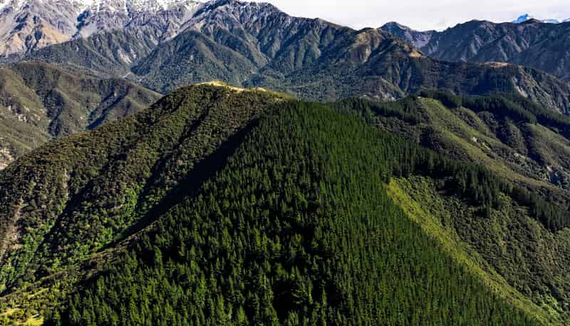  Waiau-Toa Road, Clarence