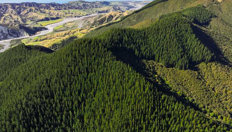 1137 Waiau-Toa Road, Clarence