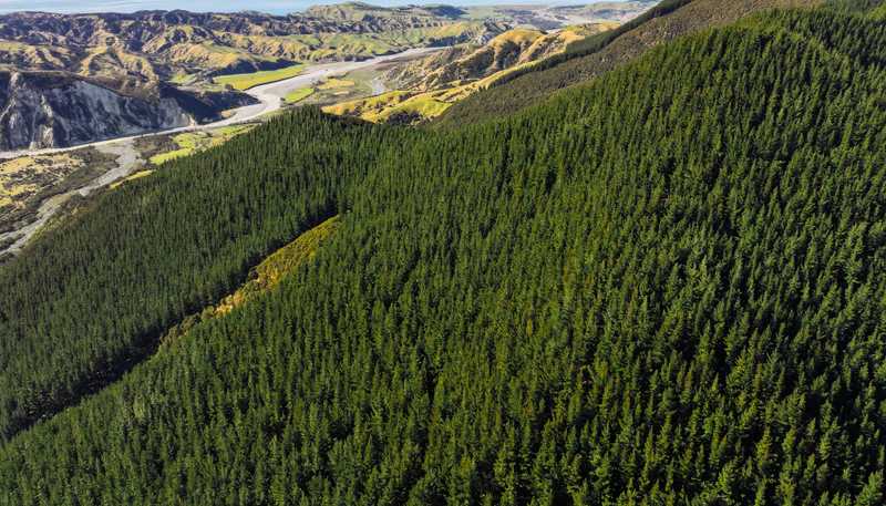 1137 Waiau-Toa Road, Clarence