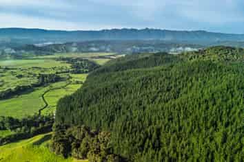  Moehau, Kaikohe West