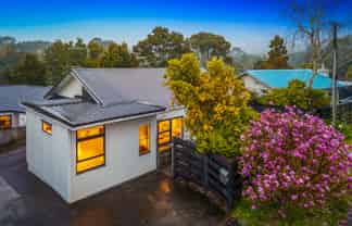 20 Withers Road, Glen Eden