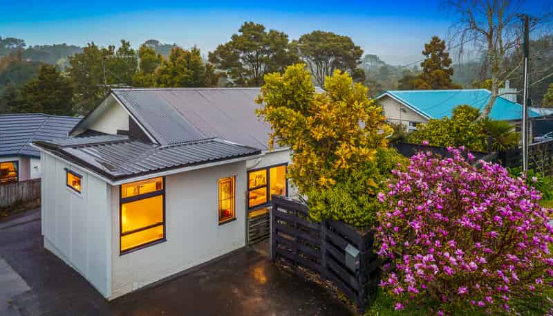 20 Withers Road, Glen Eden