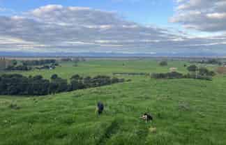 Lot 1 & 2,  State Highway 27, Kaihere