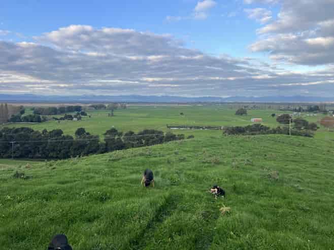 Lot 1 & 2,  State Highway 27, Kaihere