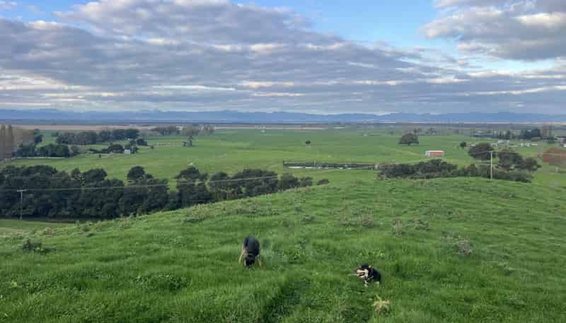 Lot 1 & 2,  State Highway 27, Kaihere