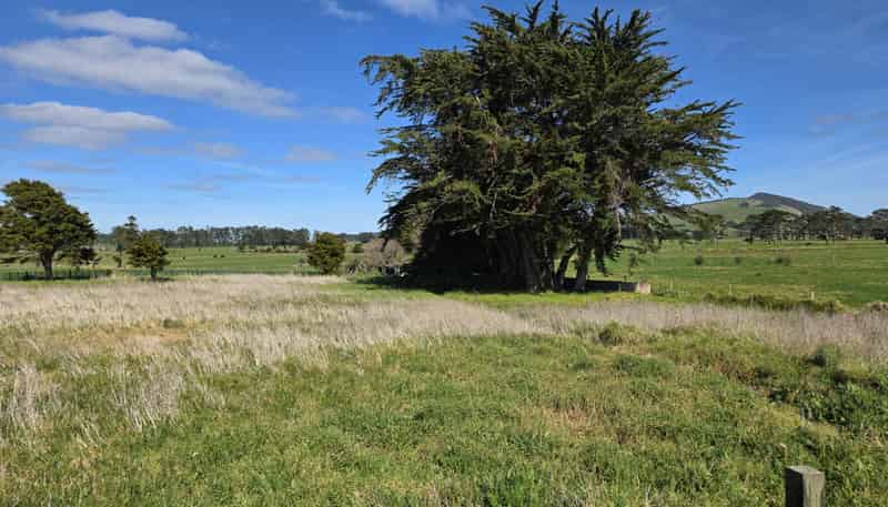 3945 State Highway 12, Aranga