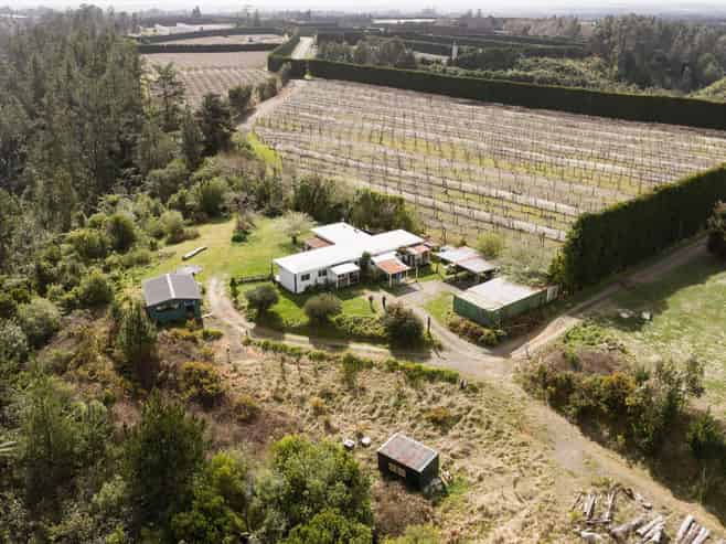 736 No 2 Road, Te Puke