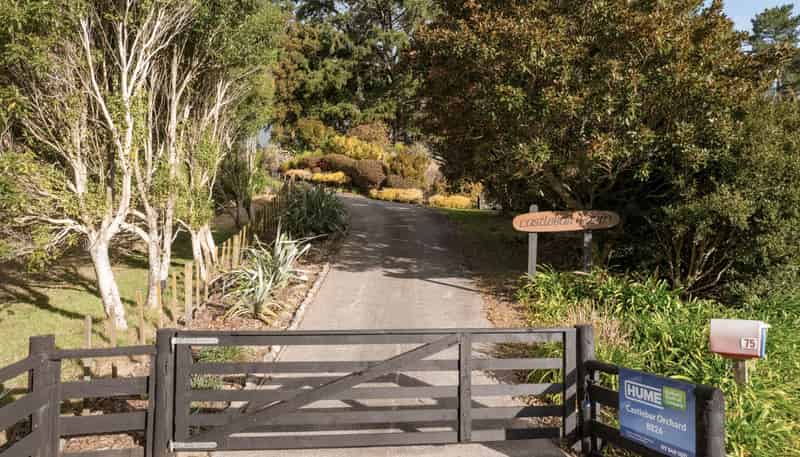 75 Walford Road, Aongatete
