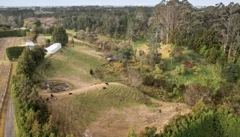 75 Walford Road, Aongatete