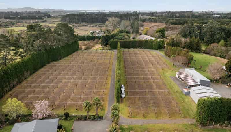 75 Walford Road, Aongatete