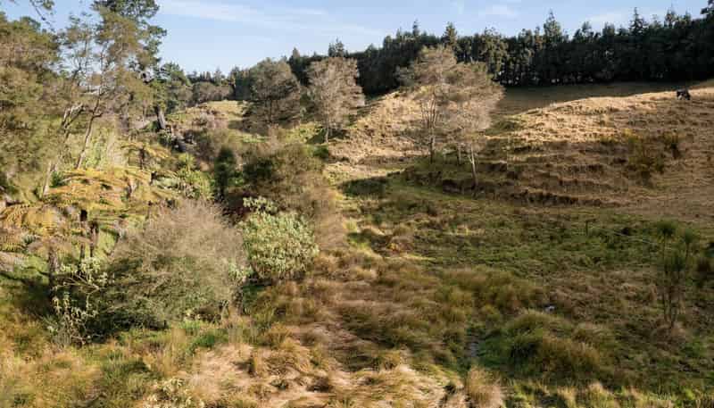 75 Walford Road, Aongatete