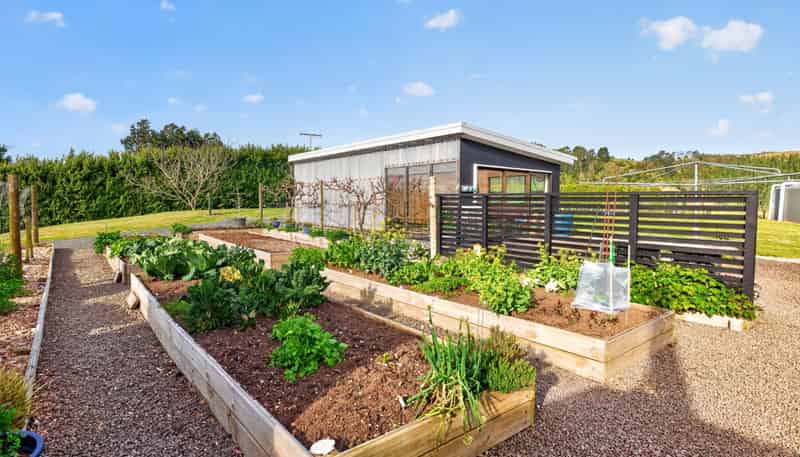 157E Kaiate Falls Road, Welcome Bay