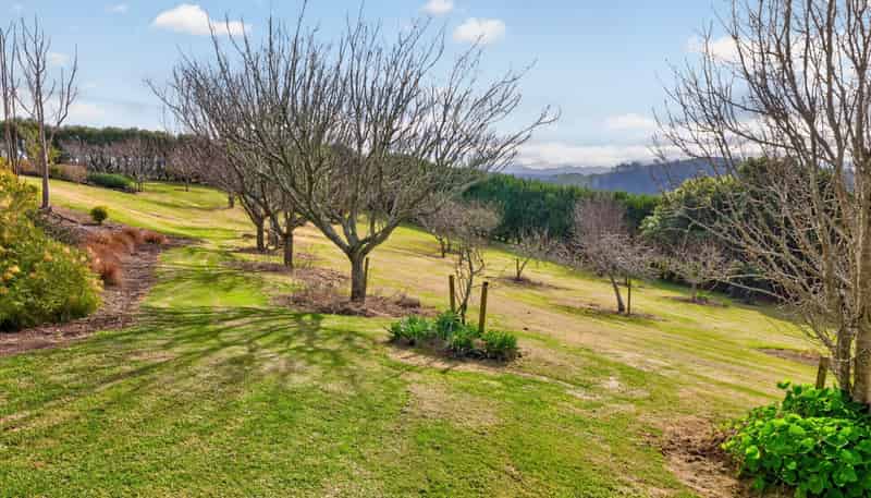157E Kaiate Falls Road, Welcome Bay