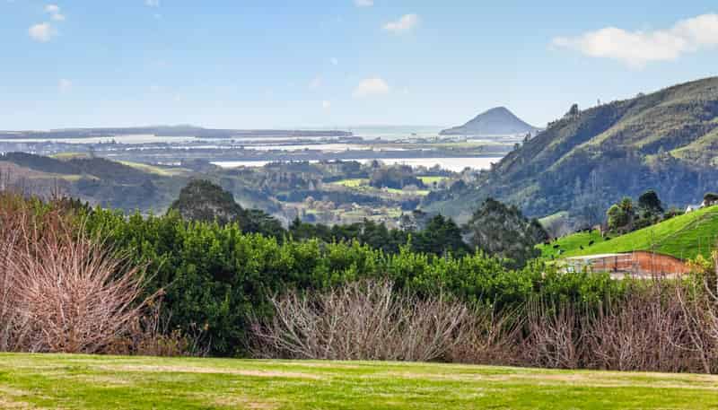 157E Kaiate Falls Road, Welcome Bay