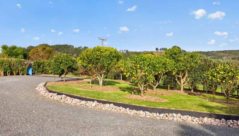 157E Kaiate Falls Road, Welcome Bay
