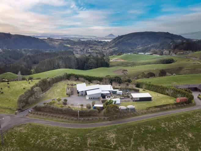 157E Kaiate Falls Road, Welcome Bay