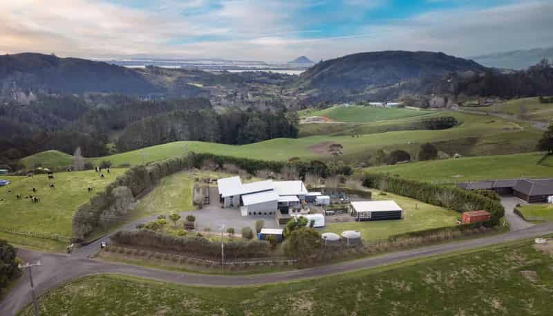 157E Kaiate Falls Road, Welcome Bay