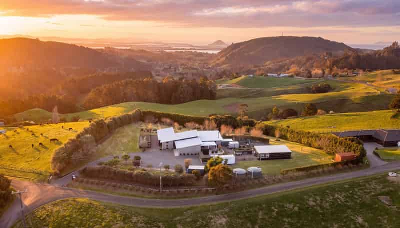 157E Kaiate Falls Road, Welcome Bay