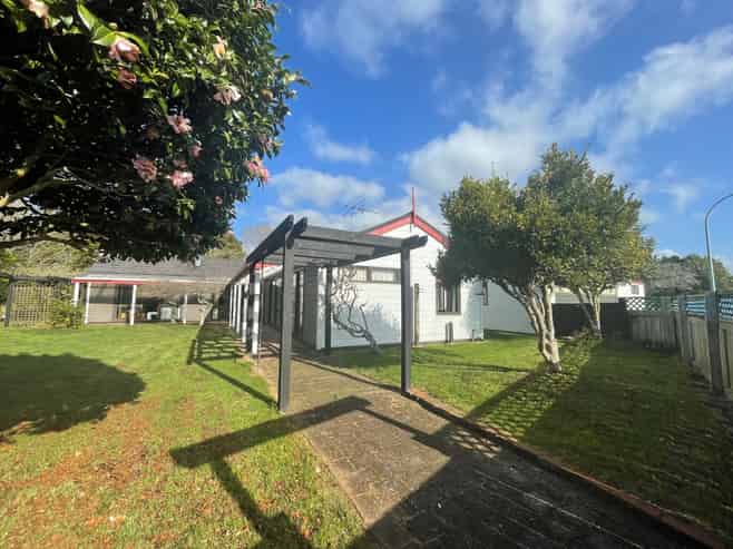 19 Nikau Street, Inglewood