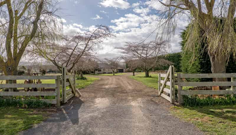 469 Ridge Road, Motukarara