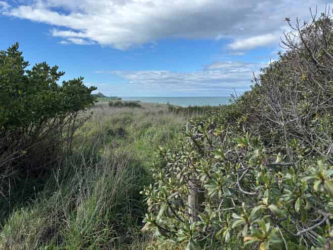 6 Caen Street, Oamaru North