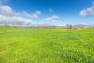 275 Saint Leger Road, Kihikihi, Waipa, Waikato