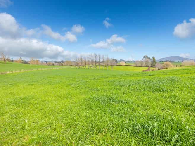 275 St Leger Rd, Kihikihi