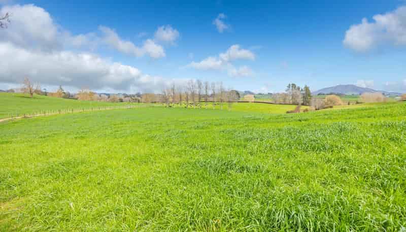 275 St Leger Rd, Kihikihi