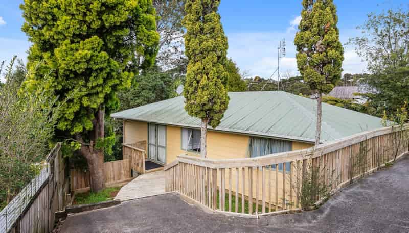 39 Holmes Drive, Massey