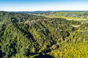  Whangae Road, Kawakawa