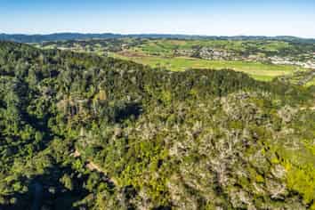  Whangae Road, Kawakawa