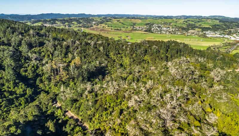  Whangae Road, Kawakawa