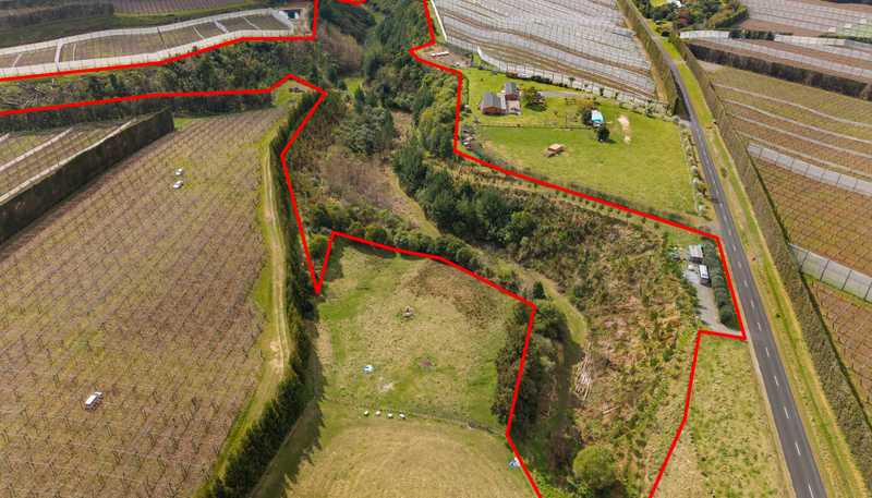 589 Rangiuru Road, Te Puke