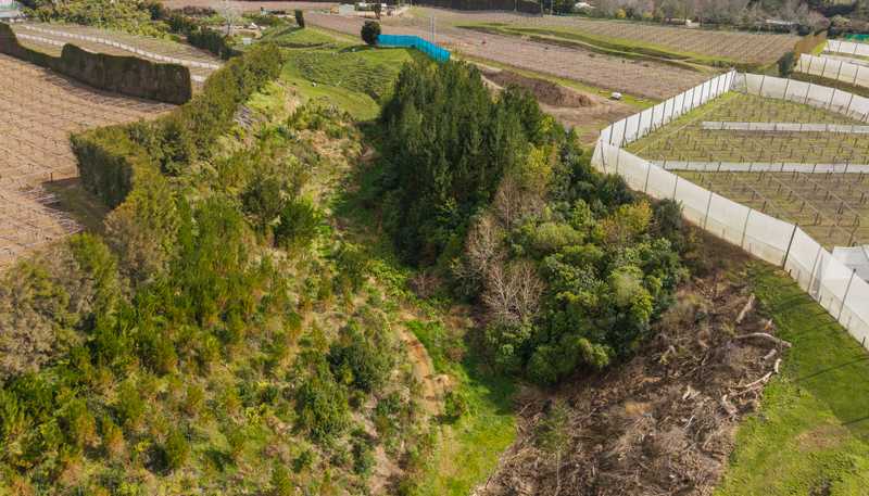 589 Rangiuru Road, Te Puke