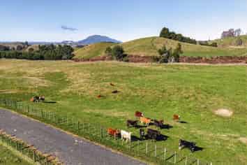 156/172,174 178 Link Road, Wairakei