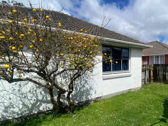 3/1007 Fergusson Drive, Clouston Park