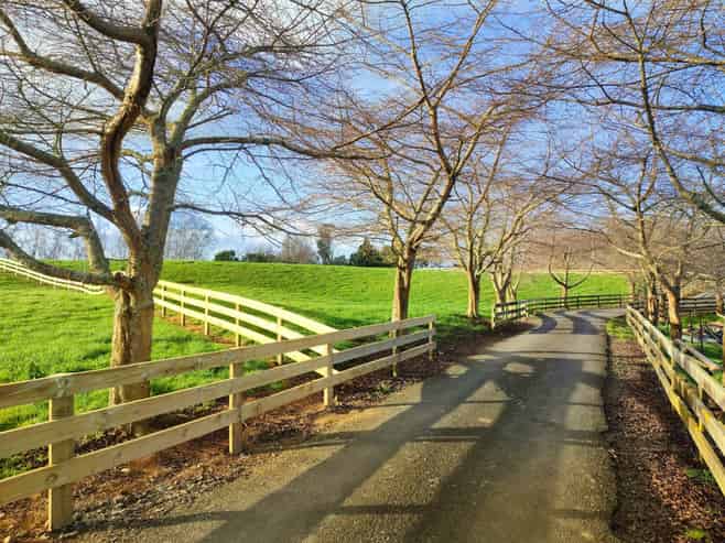 84 Overdale Road, Putaruru