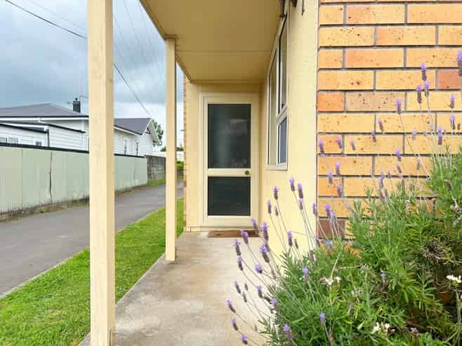 147A Nixon Street, Hamilton East