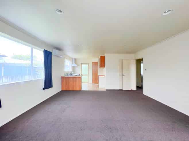 147A Nixon Street, Hamilton East