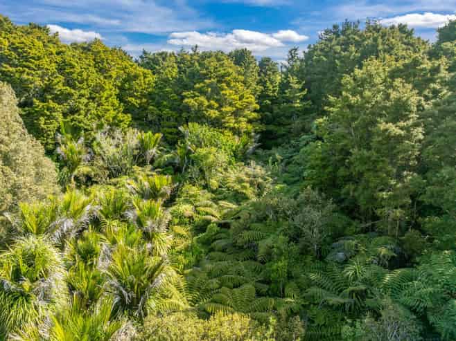 2/115 Lawrence Road, Mangawhai