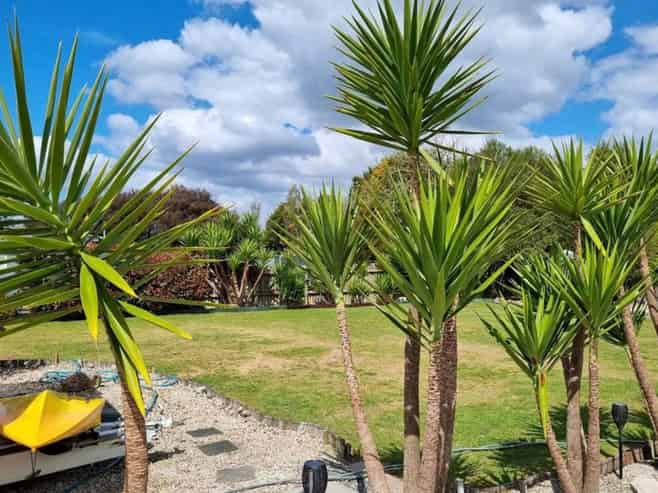 142 Rangatira Drive, Mangakino