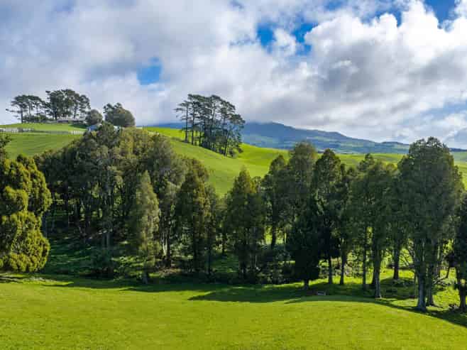 554 Maungatawhiri Road (bare block), Raglan