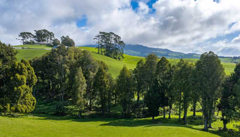 554 Maungatawhiri Road (bare block), Raglan