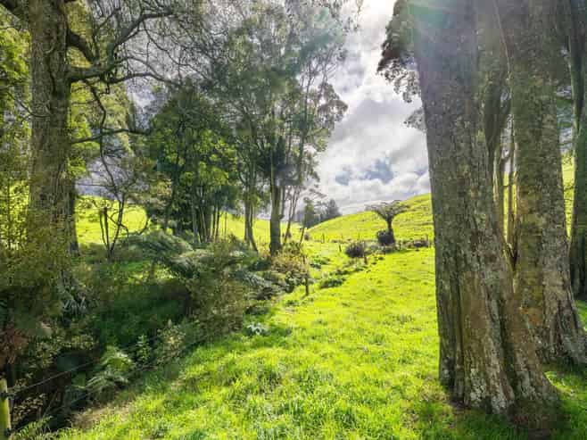 554 Maungatawhiri Road (bare block), Raglan