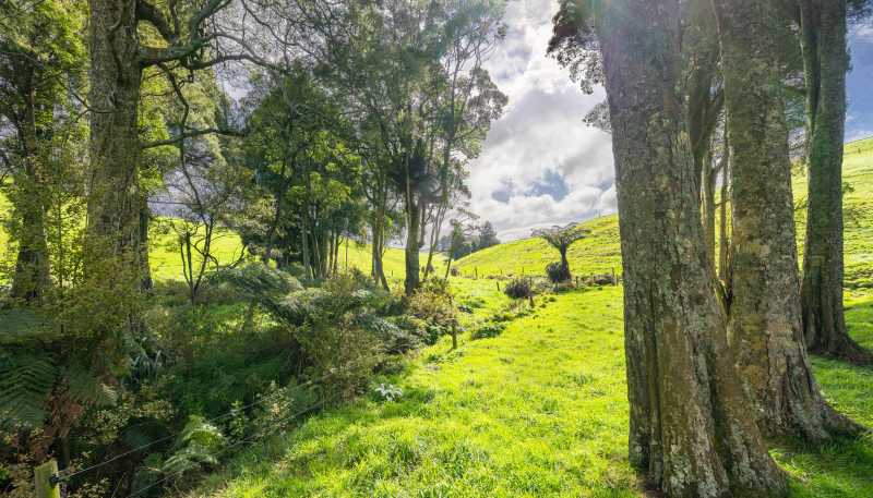 554 Maungatawhiri Road (bare block), Raglan