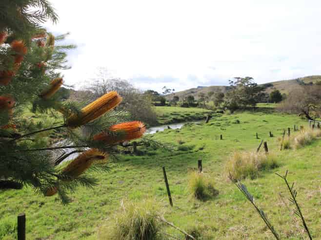 804 Otangaroa Road, Kaeo